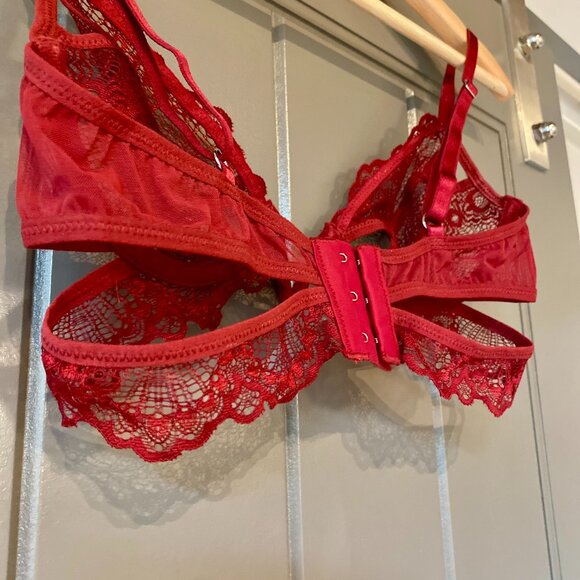 Thistle and Spire Kane V-Wire Bra in Ruby - Picture 5 of 5